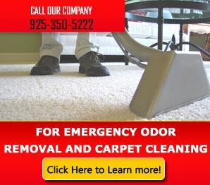 Water Damage - Carpet Cleaning San Ramon, CA