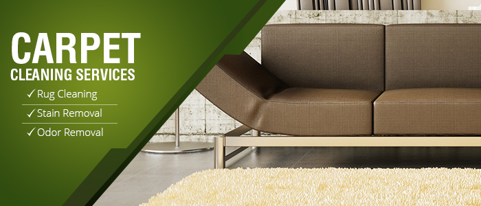 Carpet Cleaning Services